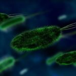 क्या हम सभी का एक ही पूर्वज है ? वैज्ञानिकों की नई खोज ने चौंकाया